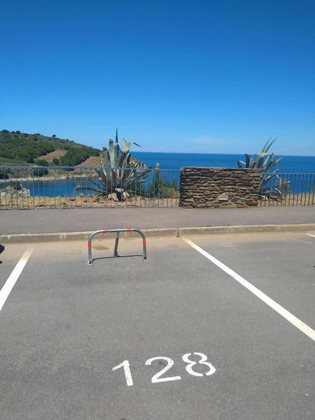 Grand Studio Avec Vue Sur La Mer Et Parking Banyuls-sur-Mer Exterior foto